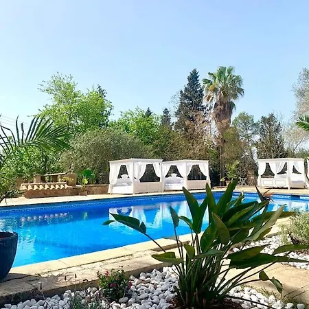Falco Ii Auf Fincagehoeft, Grosse Terrasse, Xxl Pool, Wifi, Klima, Yoga Apartament *